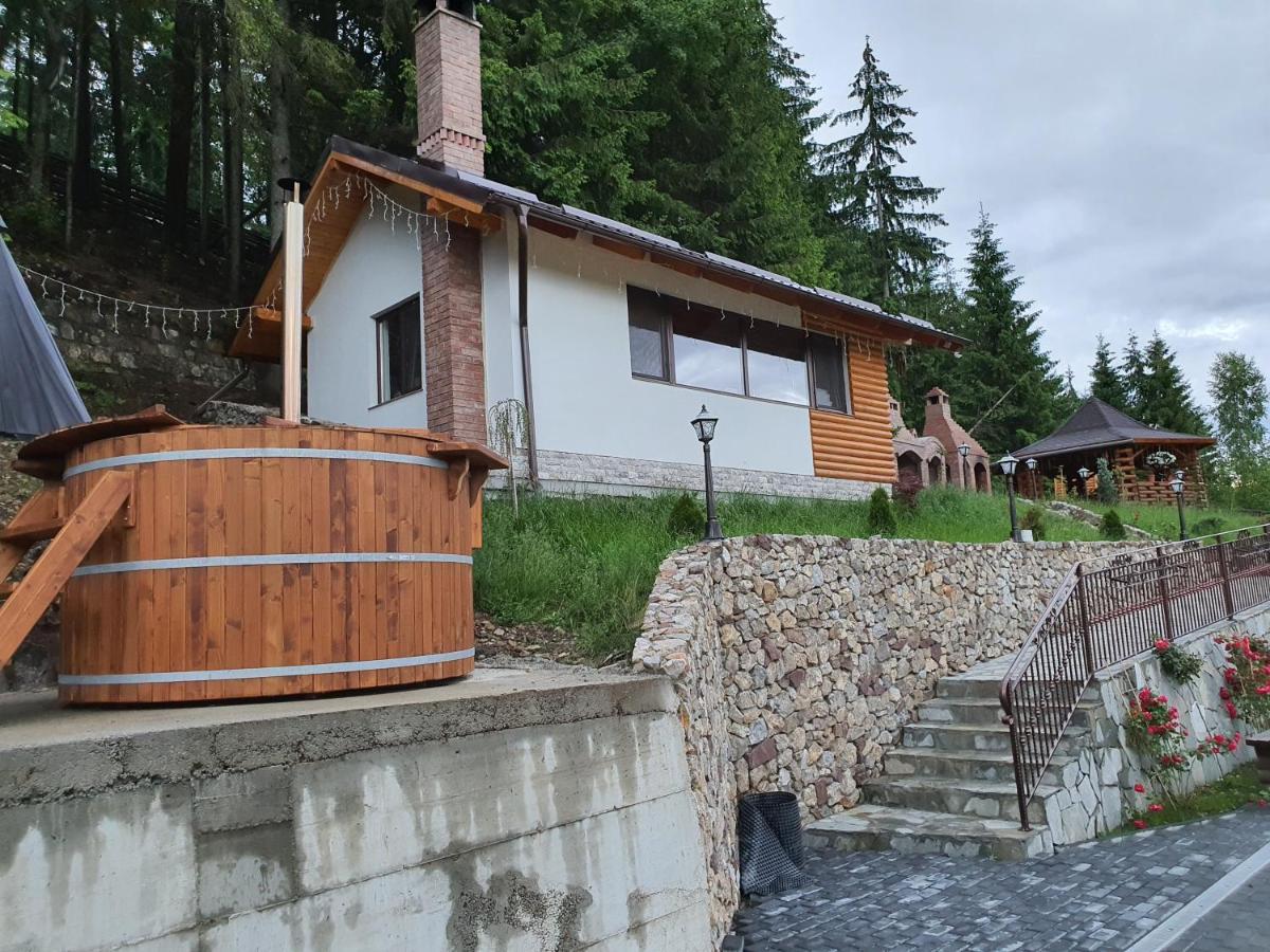 Casa Sofia Bucovina Hotel Ciumirna Exterior photo
